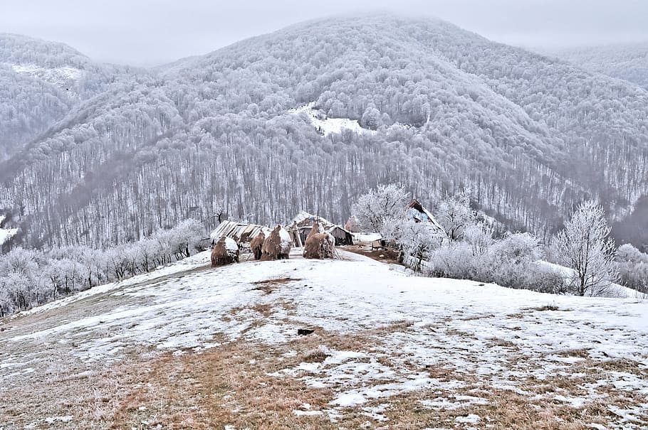 snow, winter, cold, ice, mountain, nature, cold temperature HD wallpaper
