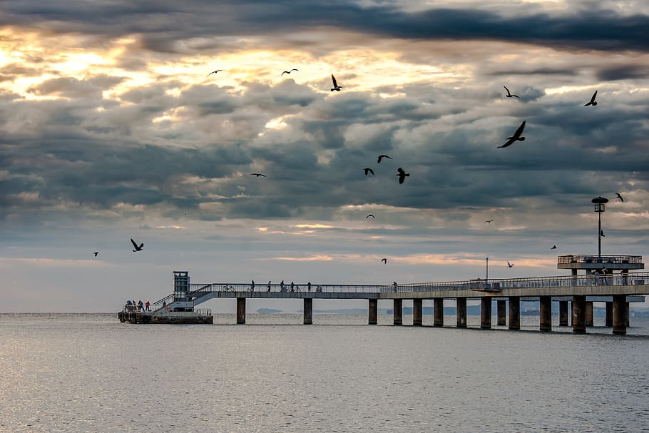 sunrise, sea, clouds, fall, autumn, bay, bridge, landscape HD wallpaper