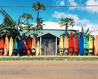 blue and white house surrounded by surfboards during daytime, longboard surfboard beside house HD wallpaper