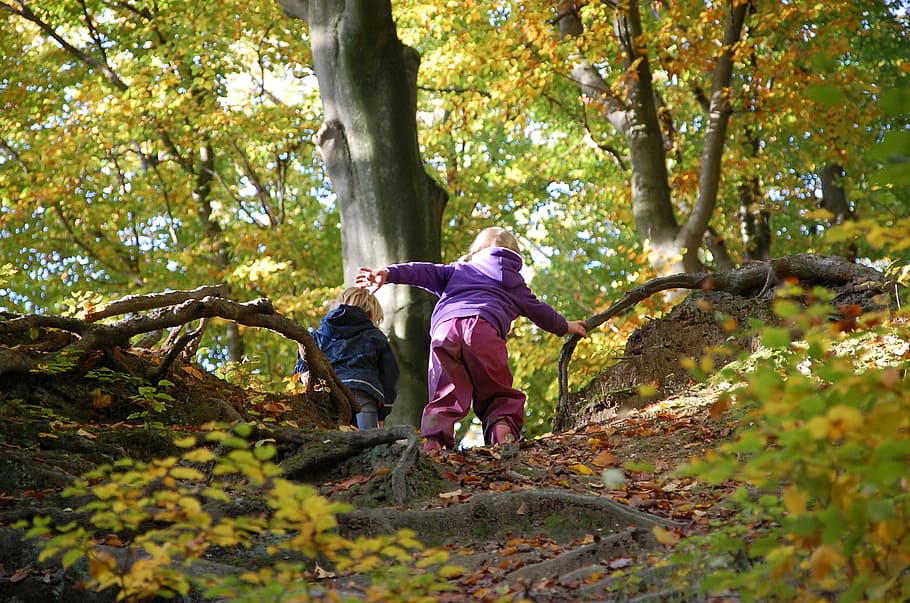 two kids climbing a hill at daytime, people, balance, forest HD wallpaper