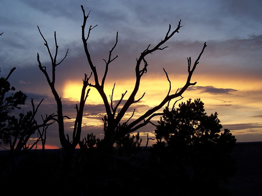 Sunset, Twilight, Landscape, Cloud, dramatic, nature, scenery HD wallpaper