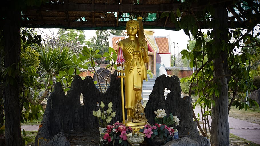 image, holy thing, statue, adoration, buddhism, what respect