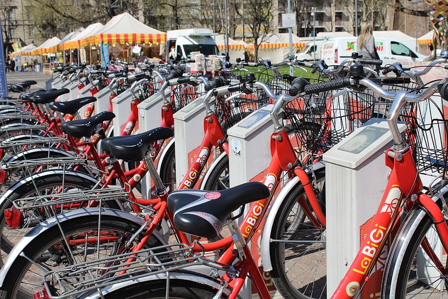 orange bicycle lot parked during daytime, bicycles, bike sharing, HD wallpaper