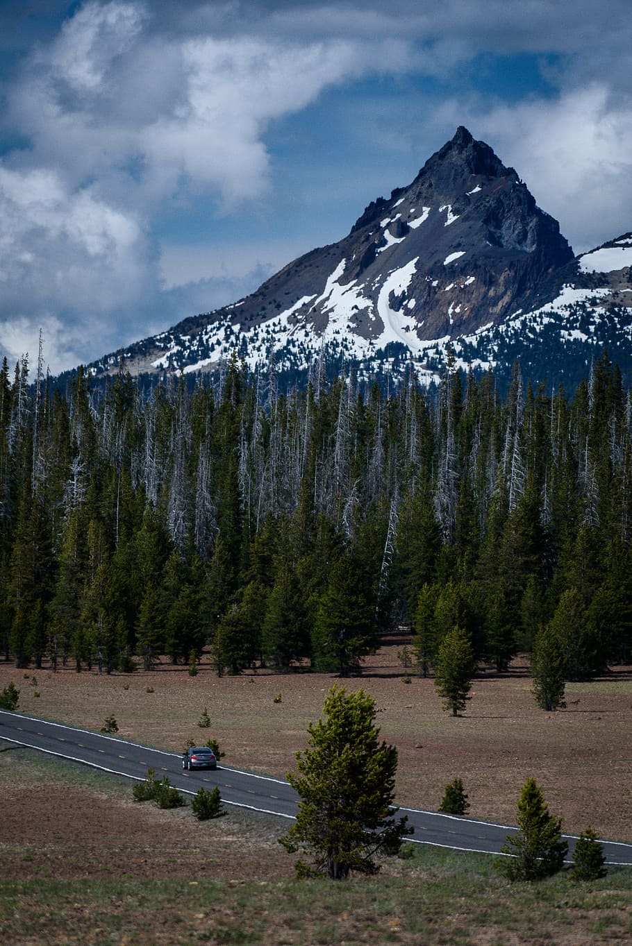 car on gray concrete tree heading to pine tree area, car traveling on road near treeline and snow capped mountain under white skies HD wallpaper