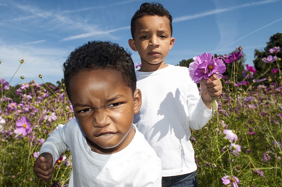 flower patch, kids, childhood, boys, men, males, flowering plant HD wallpaper