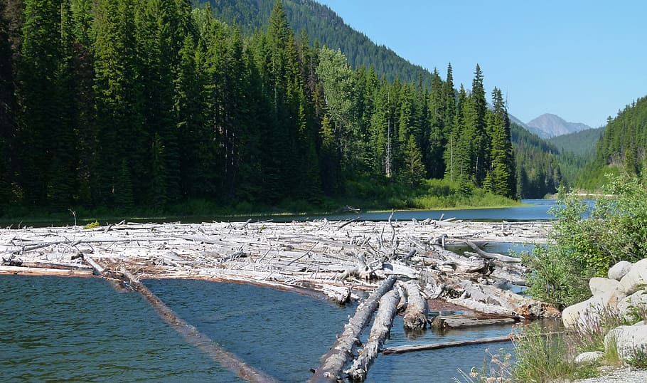 logs, river, water, mountains, landscape, nature, tree, beauty in nature HD wallpaper