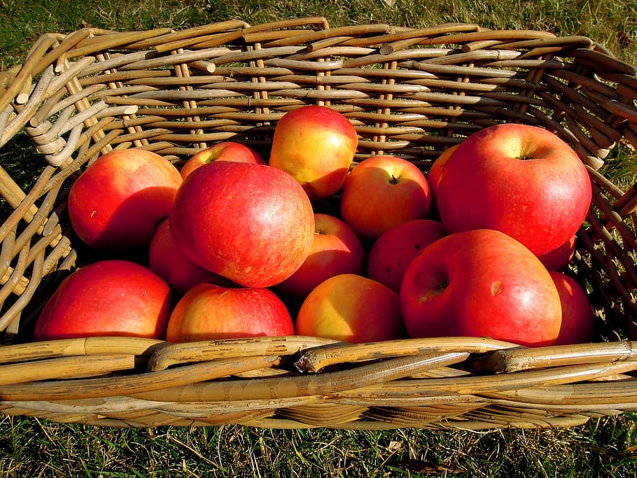 apple, fruit, basket, red, food and drink, container, healthy eating HD wallpaper