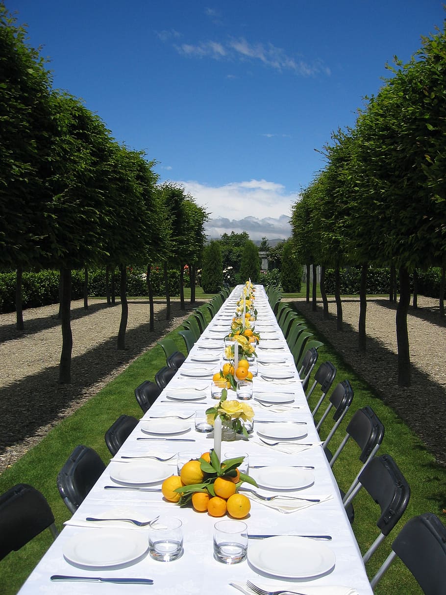 table, dinning, outdoors, wedding, setting, white, plant, tree HD wallpaper