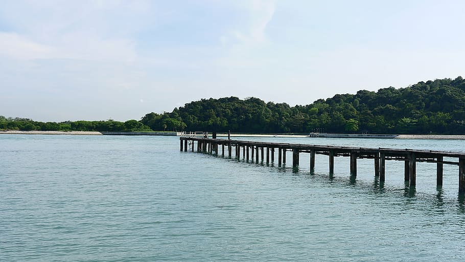 fishing, deck, platform, sea, nature, vacation, water, catch HD wallpaper