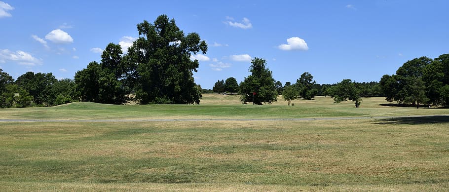 golf, grass, course, fairway, putt, tee, golfer, hole, nature HD wallpaper