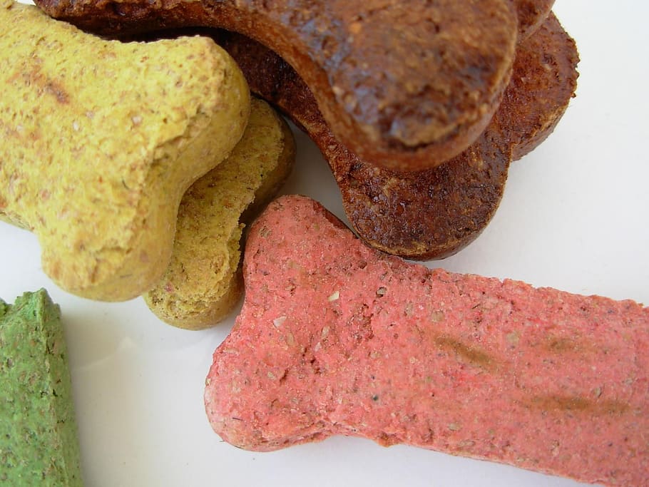 four assorted colored biscuits on white surface, dog bones, puppy, HD wallpaper