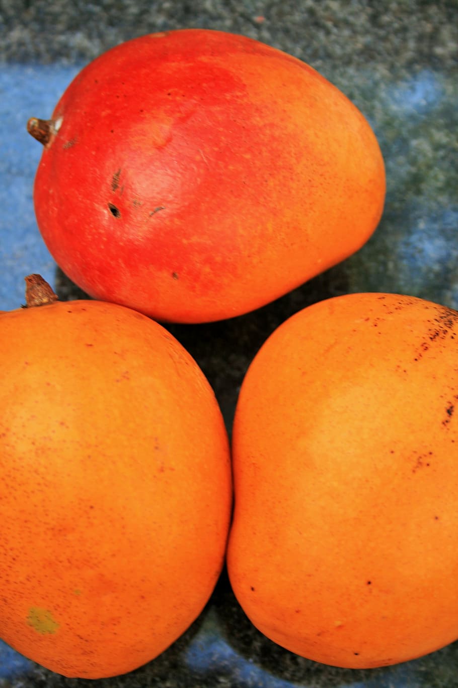 orange mango, fruit, plump, tropical, delicious, healthy eating HD wallpaper