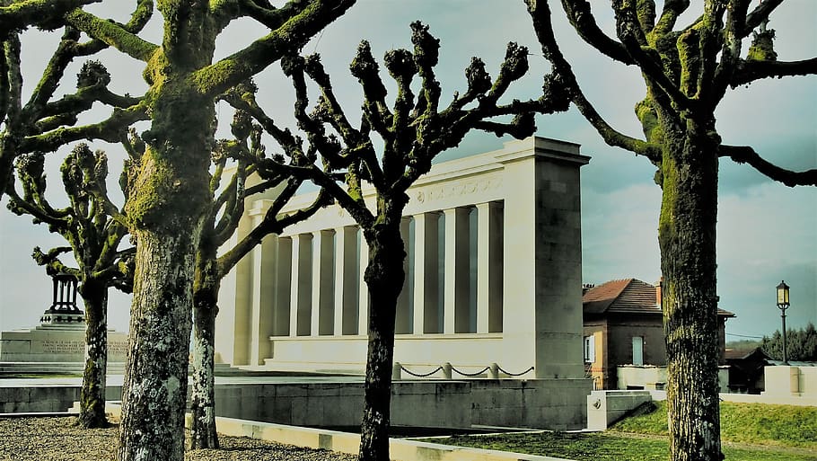 tree, architecture, building, sky, monument, verdun1918, usa HD wallpaper