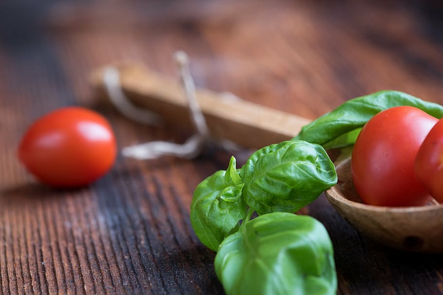 tomatoes, small tomatoes, red, basil, green, spice, herbs, close HD wallpaper