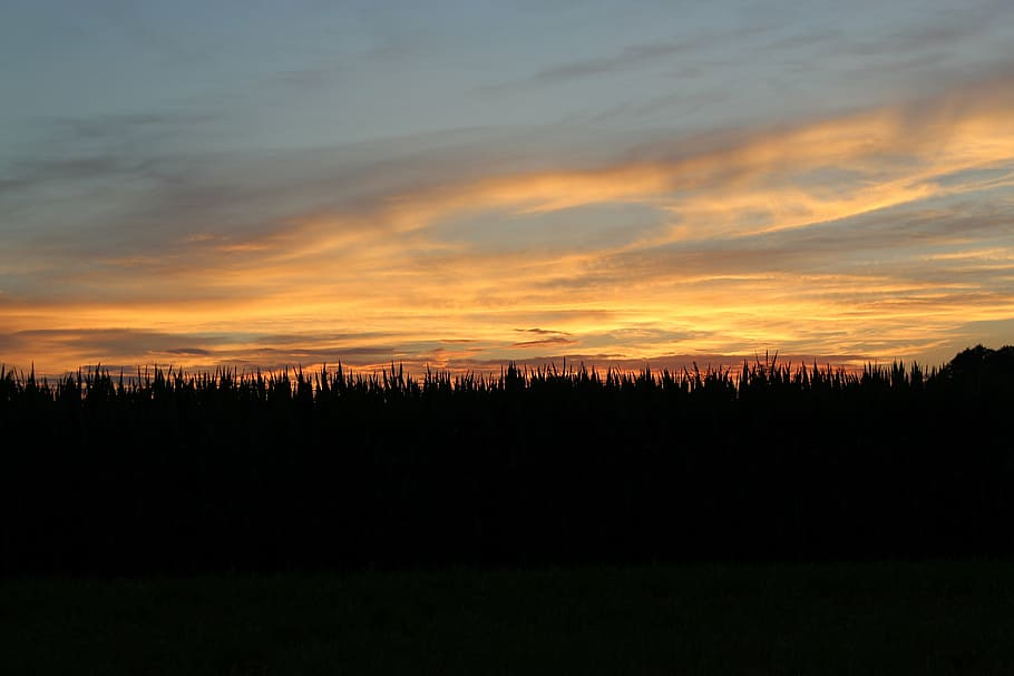 abendstimmung, evening, sky, sunset, silhouette, tranquil scene HD wallpaper