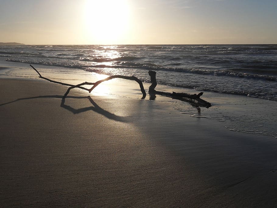 Sundown, Sea, Danmark, sky, horizon over water, beach, sunset HD wallpaper