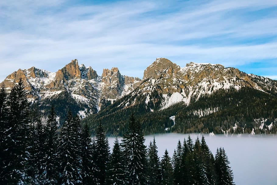 snowy mountains with pine trees surrounded with fog, mountain near body of water HD wallpaper