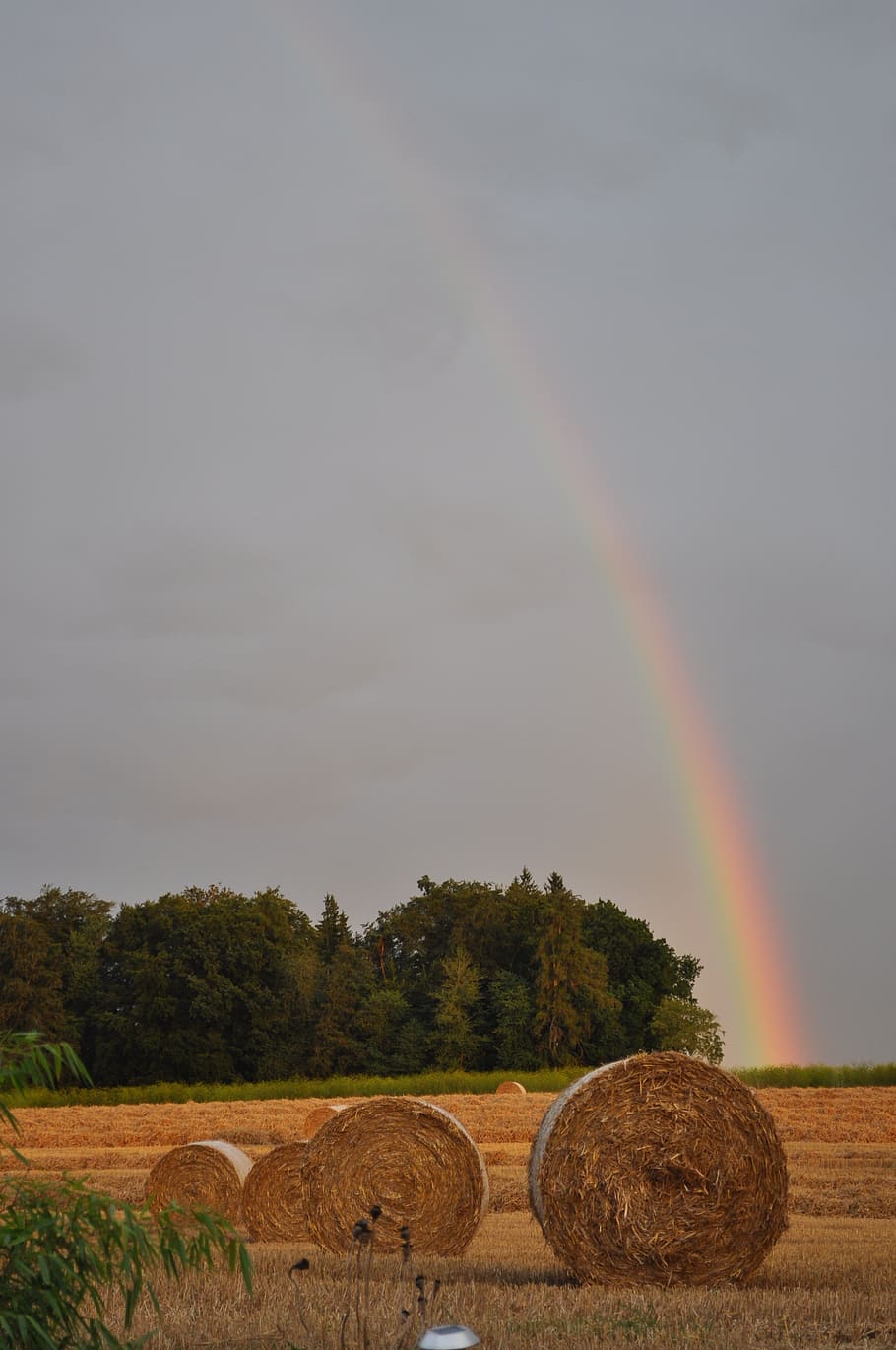 rainbow, straw, agriculture, stro, landscape, harvest, hay bales HD wallpaper