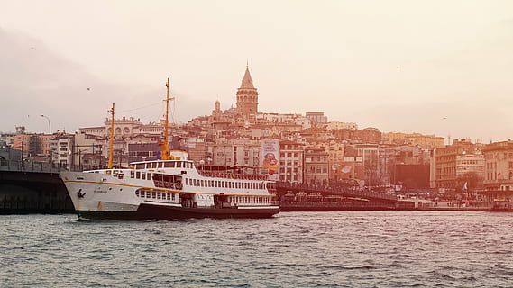 white cruise ship on body of water, urban, city, architecture HD wallpaper