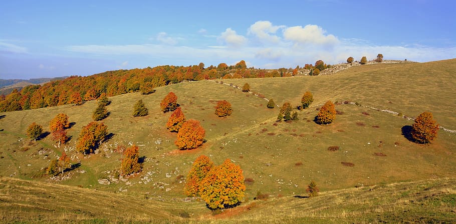 excursion, trees, autumn, mountain, the european path, e5, lessinia HD wallpaper