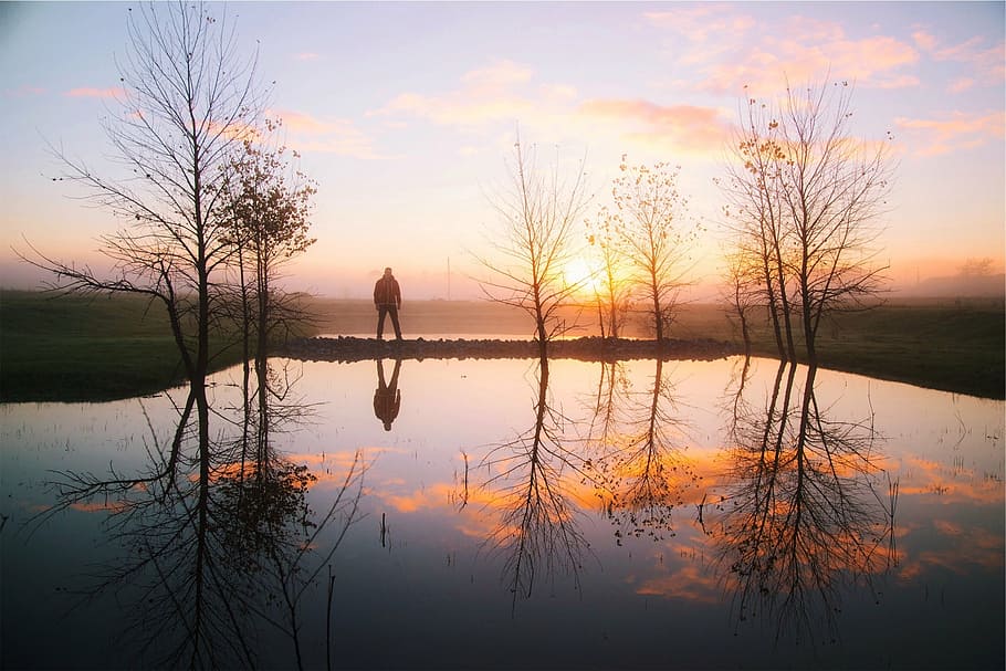 sunset, water, reflection, trees, pond, guy, man, jacket, fog HD wallpaper