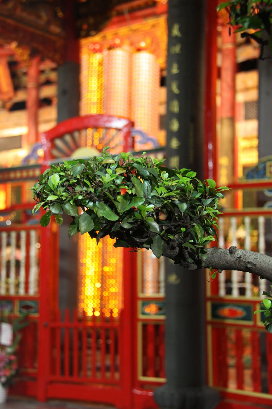 Taiwan, Buddhist, Temple, Temple Complex, buddhism, buddhist temple HD wallpaper