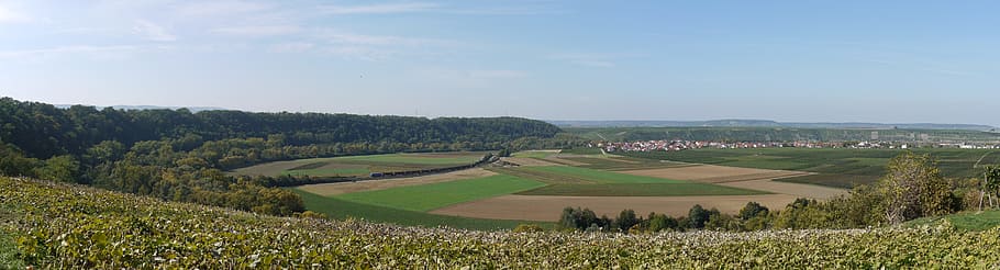 Basin, Panorama, Rural, Outlook, green, fields, vineyards, wine, HD wallpaper
