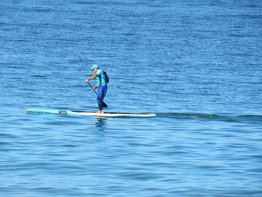Cape, Town, supping, sport, water Sport, action, oar, speed HD wallpaper