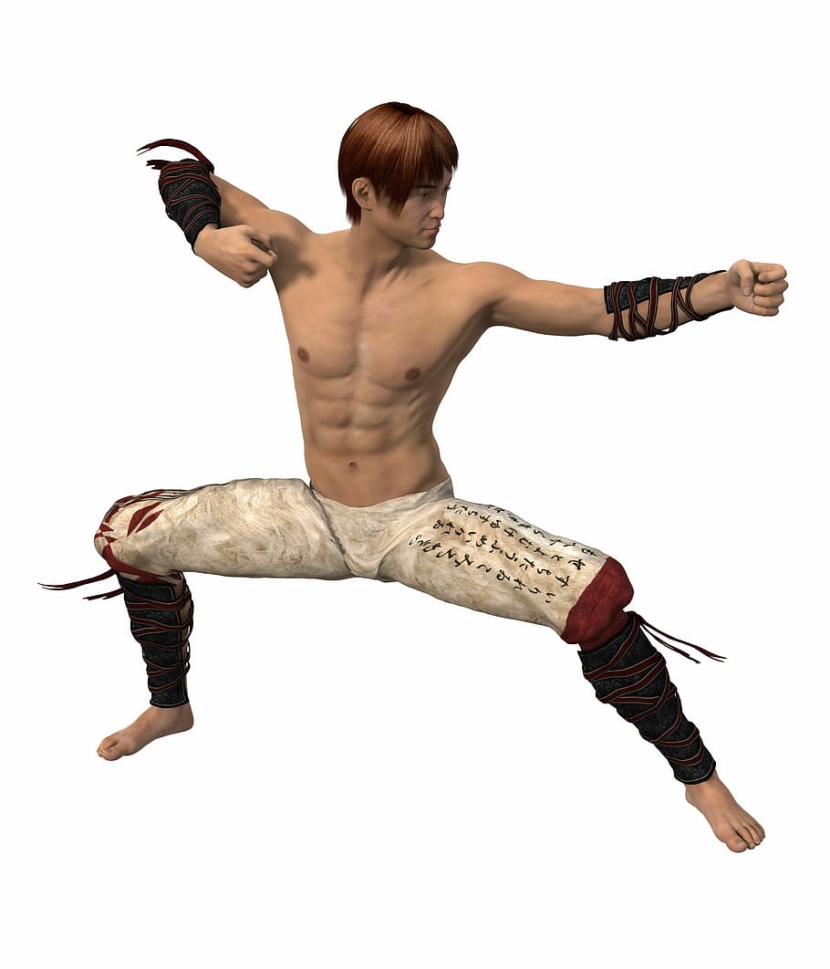 Martial Arts Fighter 3d model, buff, illustration, karate, public domain