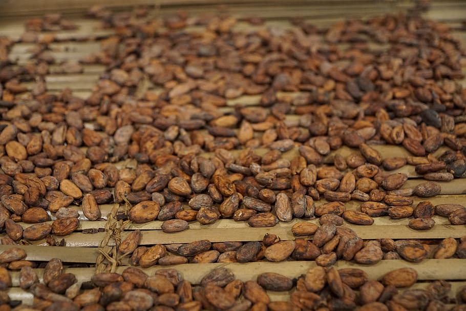Coffee, Beans, Drink, full frame, no people, backgrounds, day HD wallpaper