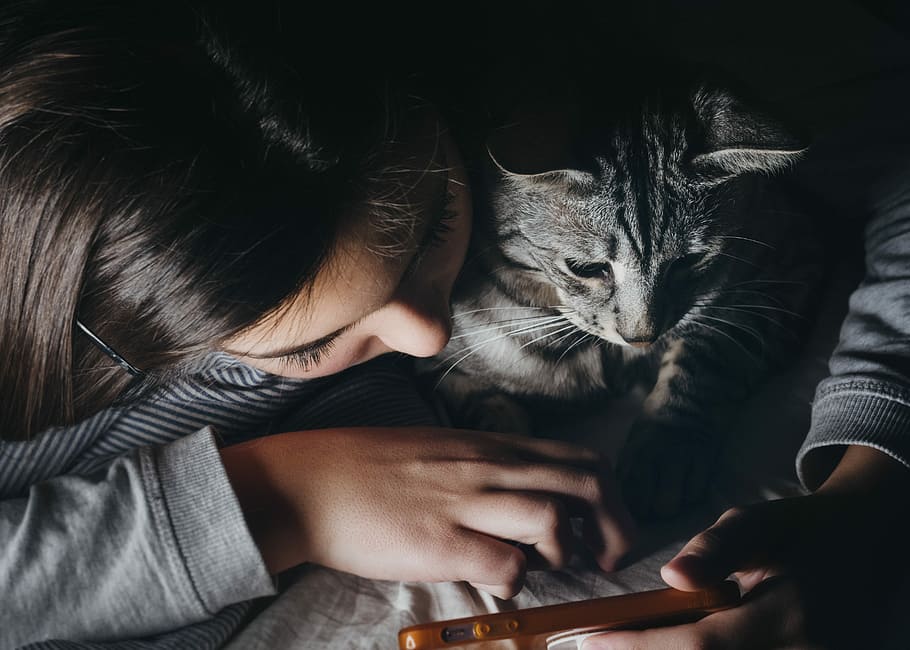 girl holding smartphone beside cat watching reclining to her shoulder, woman holding smartphone while cuddle with her cat, HD wallpaper