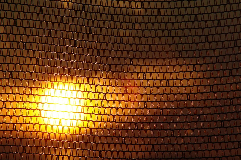 sunset, orange sun, mesh, rays of sun, light, climate, backgrounds HD wallpaper
