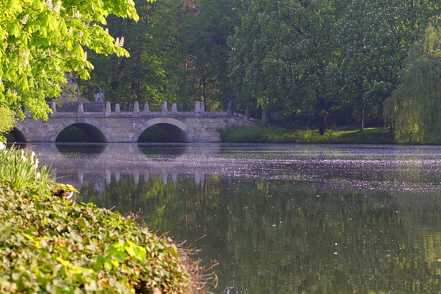 bridge, park, stone, water, pond, tree, scrubs, green, foliage HD wallpaper