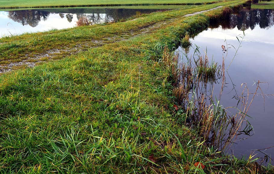 dike, dam, water, pond, lake, pools, grass, fouling, away, sure HD wallpaper