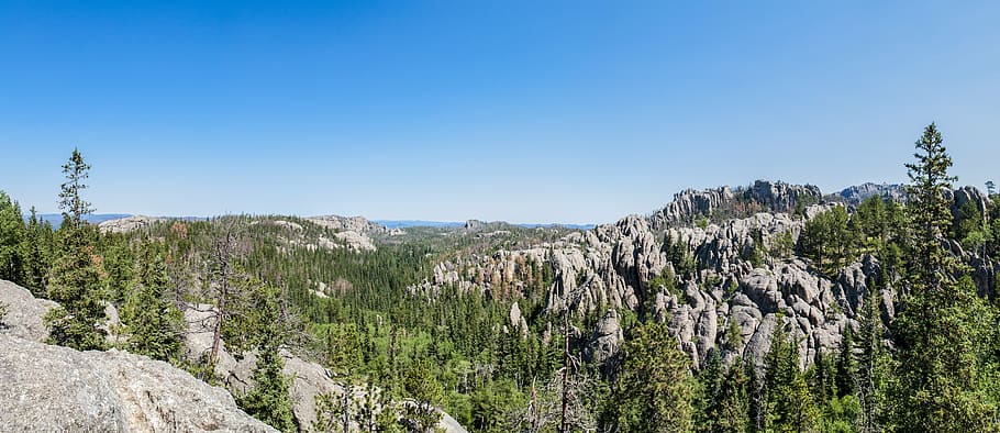 custer state park, wyoming, panorama, granite, wild, forest, HD wallpaper