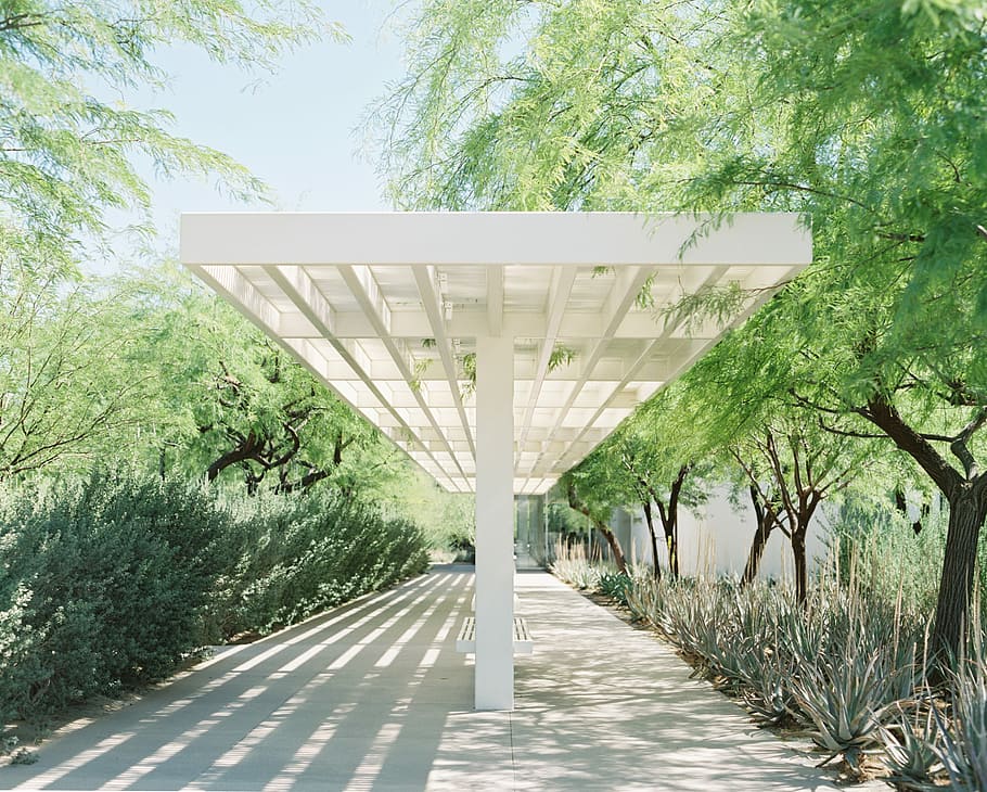 Sunnylands, white wooden shed near trees, architecture, construction HD wallpaper