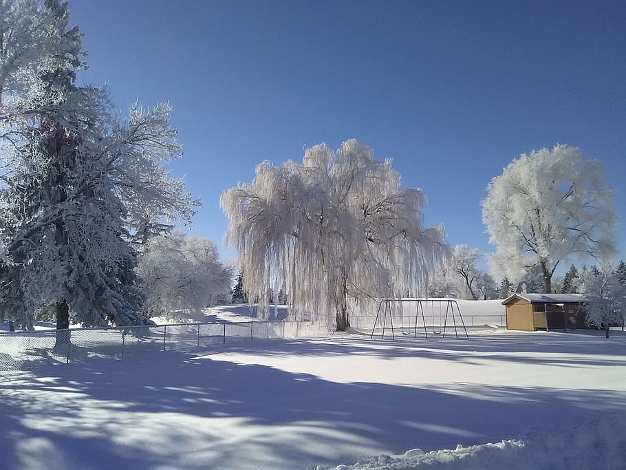 Winter, Scenery, Landscape, snow, cold temperature, tree, nature HD wallpaper