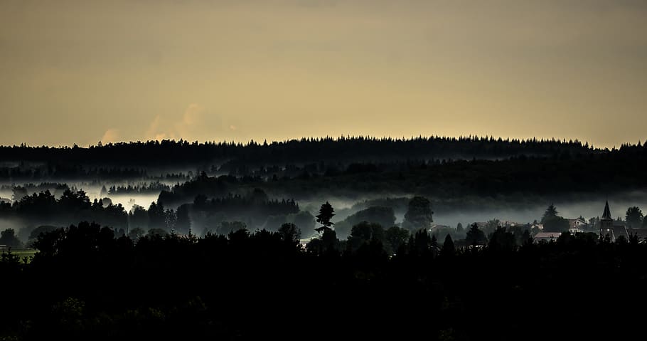 landscape, mist, nature, tree, beauty in nature, sky, scenics - nature HD wallpaper