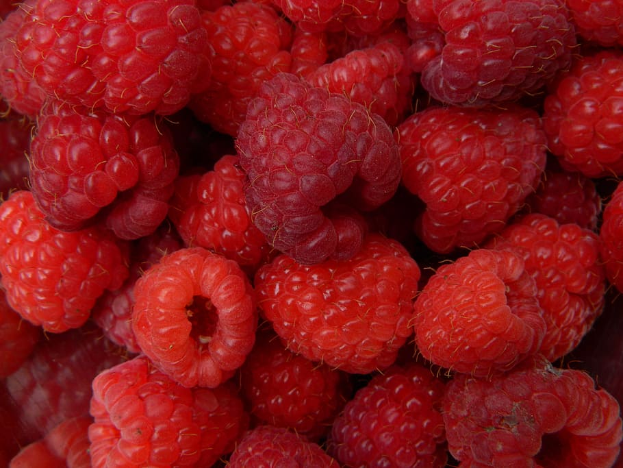 fruit, raspberry, red, summer, nearby, food, freshness, ripe, HD wallpaper