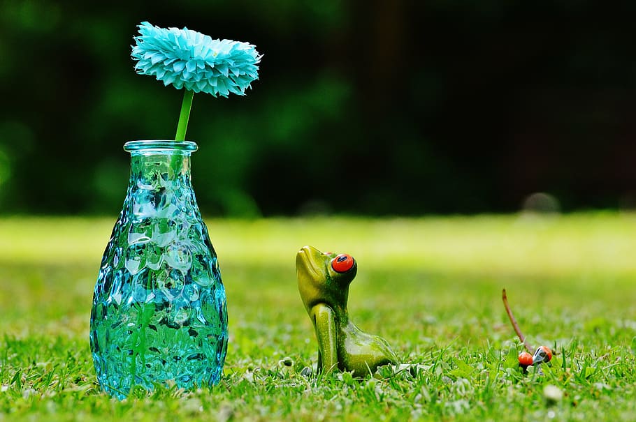 vase, flower, frog, funny, cute, sweet, meadow, nature, grass HD wallpaper