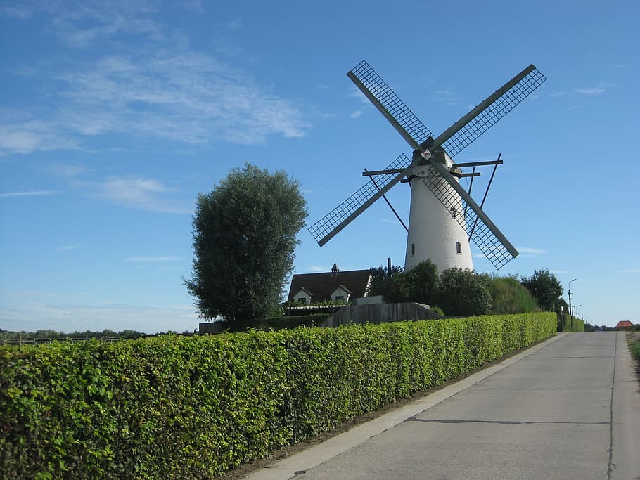 wind mill, summer, landscape, blue sky, renewable energy, alternative energy HD wallpaper