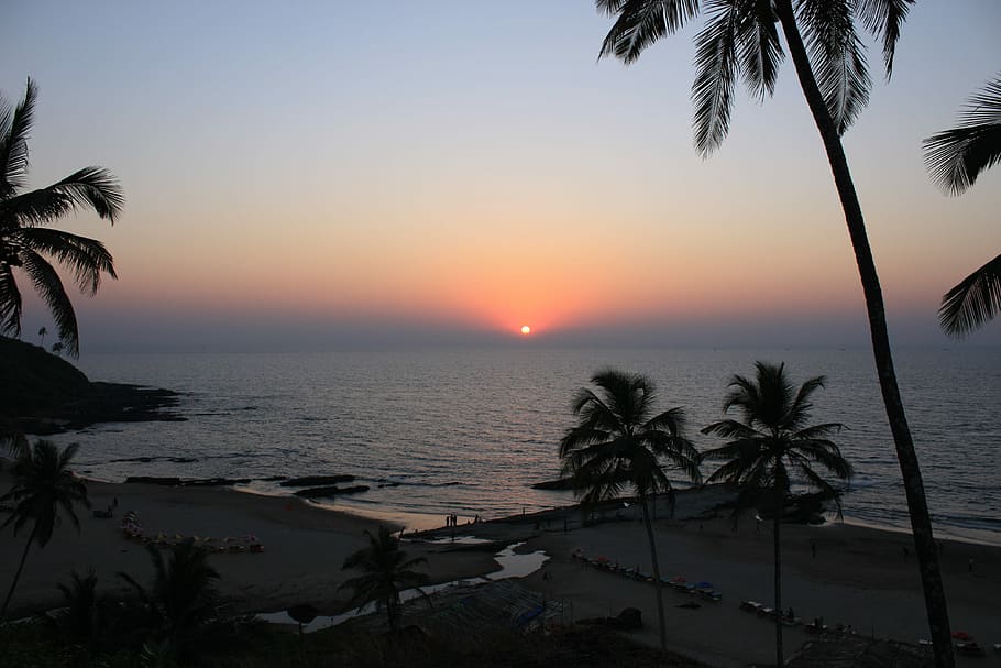 Goa, India, Beach, Sunset, palm tree, tropical climate, sea HD wallpaper