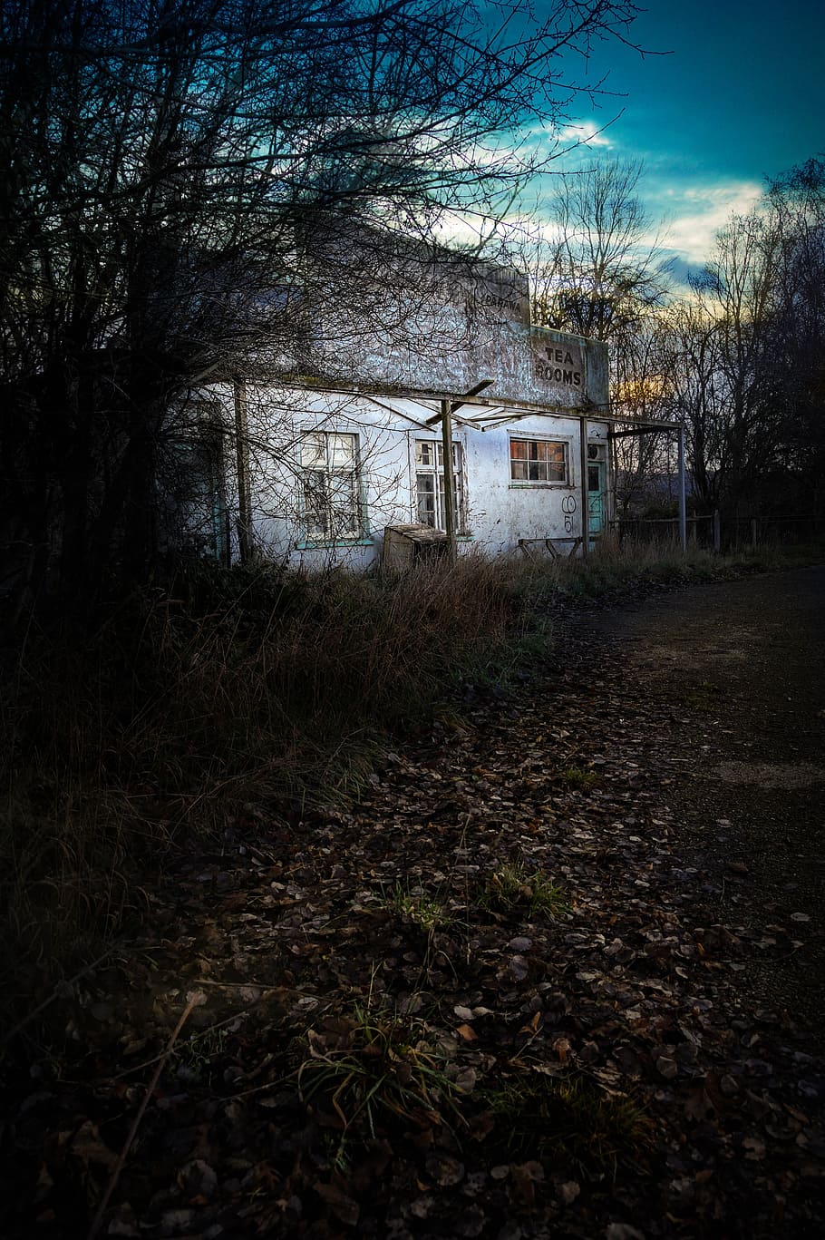 Haunted, House, Abandoned, Old, Spooky, tea room, ruin, wood