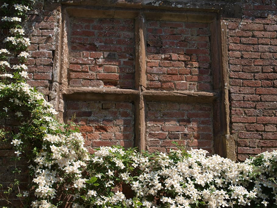 window, brick, garden, architecture, built structure, plant HD wallpaper