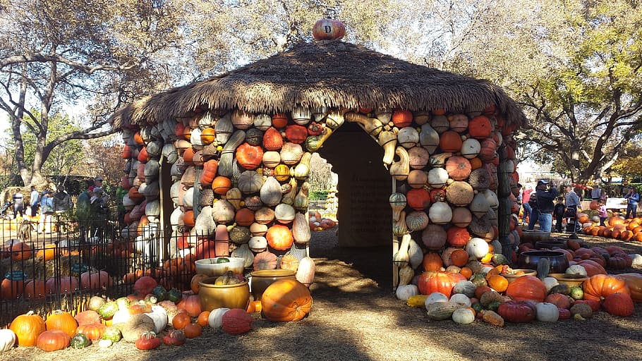 fall, pumpkin house, pumpkins, architecture, built structure HD wallpaper