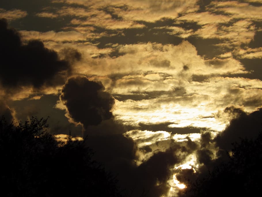 Nature, Clouds, Sunset, Evening, Sky, evening sky, trees, twilight HD wallpaper