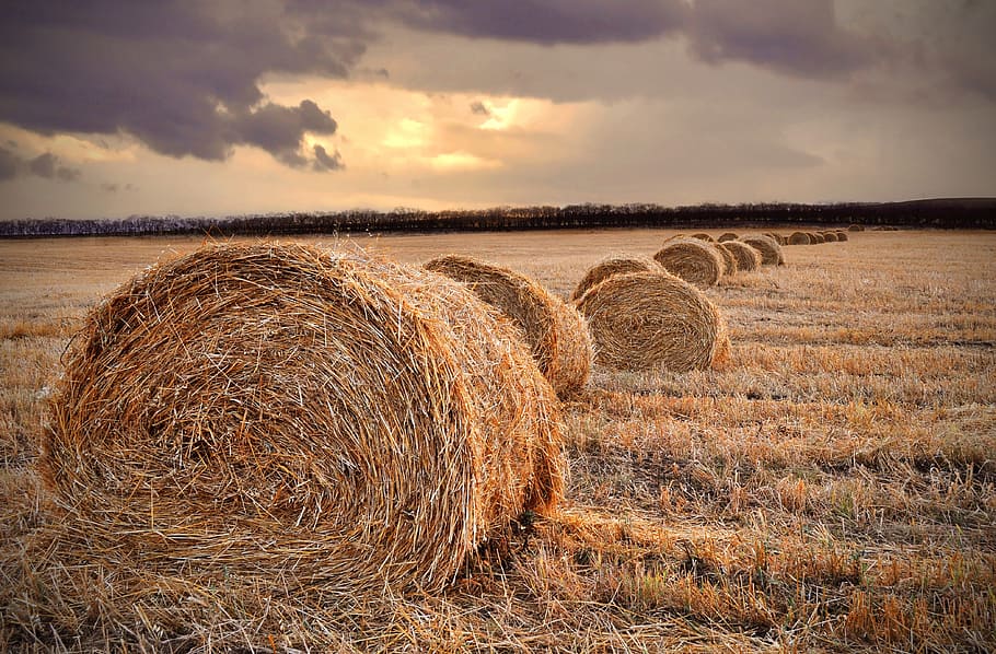 brown hay lot, parcel, field, landscape, sunset, autumn, harvest HD wallpaper
