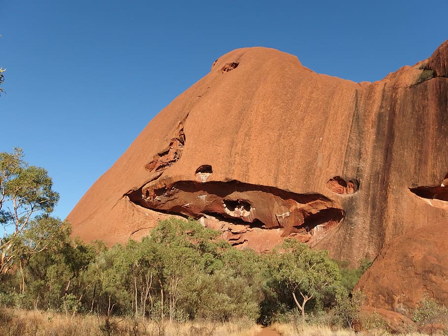 uluru, ayers rock, australia, plant, land, sky, nature, desert HD wallpaper