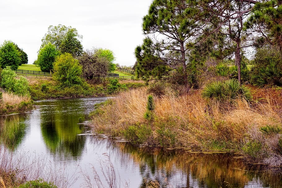 landscape, nature, river, water, natural, scenery, scenic, pond HD wallpaper