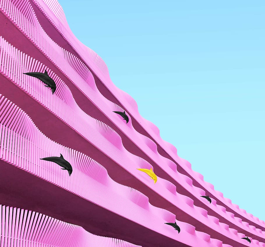 dolphin jumping on pink surface, school of dolphins artwork, architecture HD wallpaper